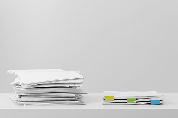 gestion de documentos Area Privada Patos Producciones